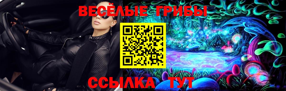 Артём  Галлюциногенные грибы GOLDEN TEACHER  Вход с VPN 